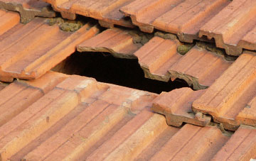 roof repair Sunniside